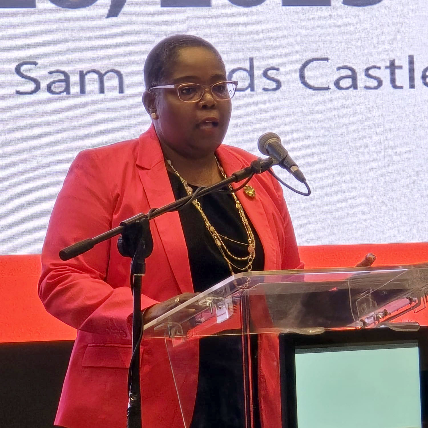 BRIM 2025 Conference - Regulatory Update by DCEO Rosina Knight