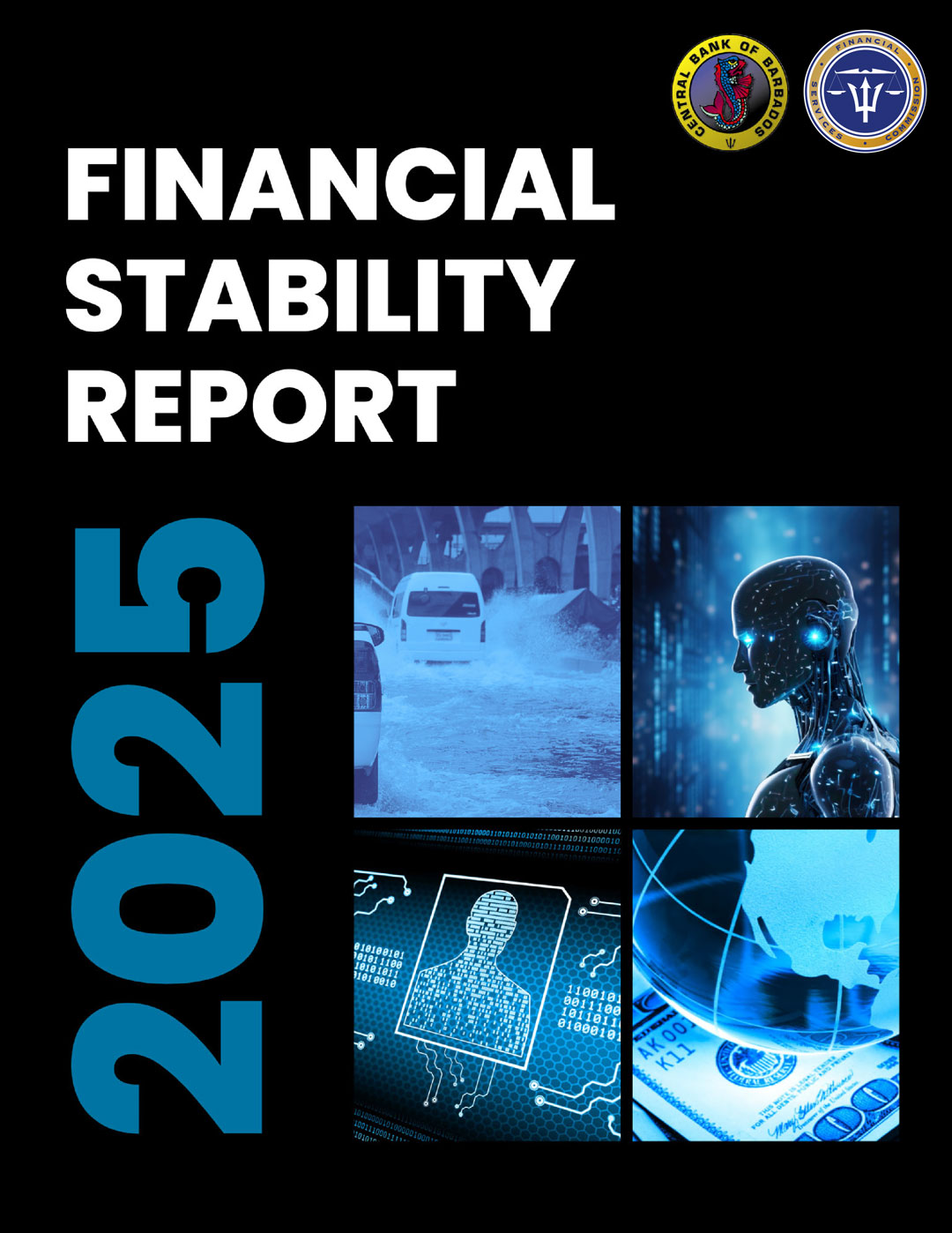 2025 Financial Stability Report