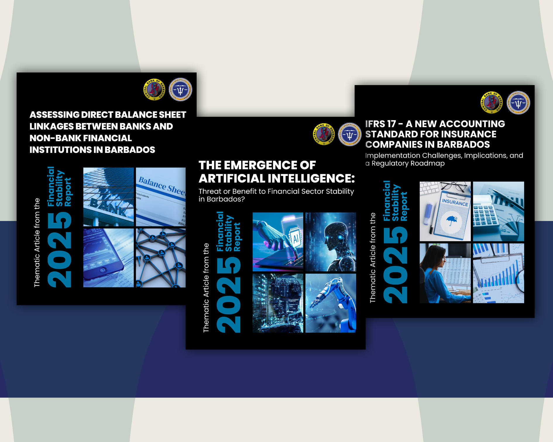Thematic Articles Published Alongside the 2025 Financial Stability Report