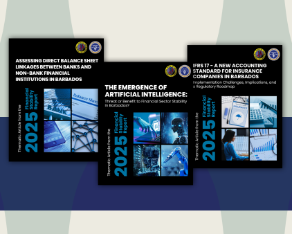 Thematic Articles Published Alongside the 2025 Financial Stability Report